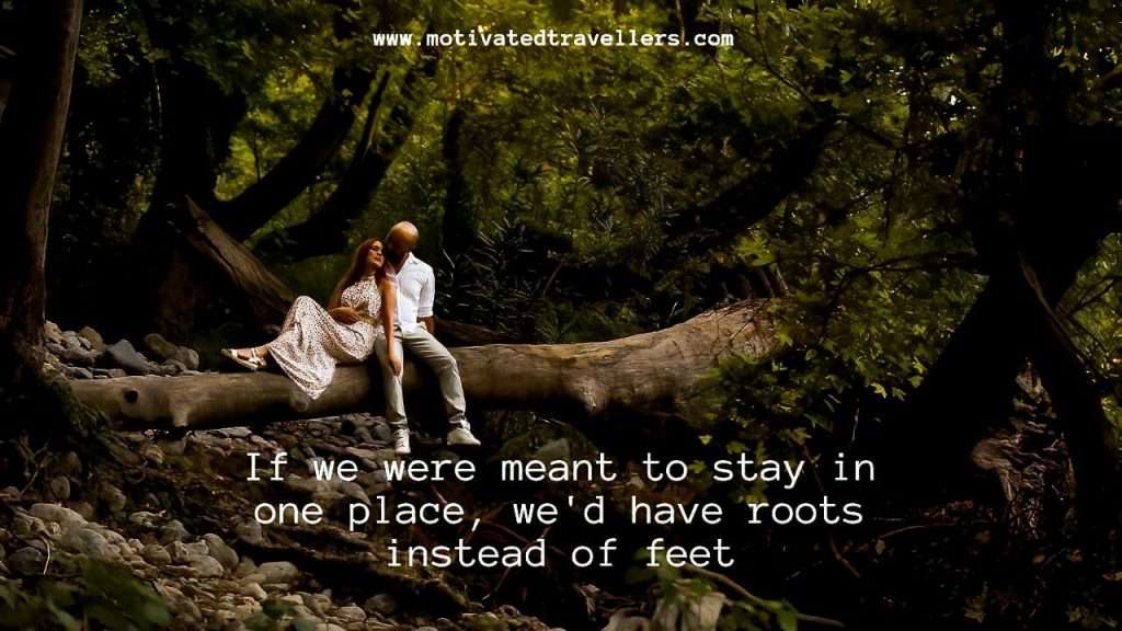 If we were meant to stay in one place wed have roots instead of feet.